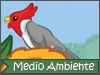 Todos admiran lo bello de la naturaleza (Día del Medio Ambiente)