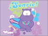 Wippo surf sonre